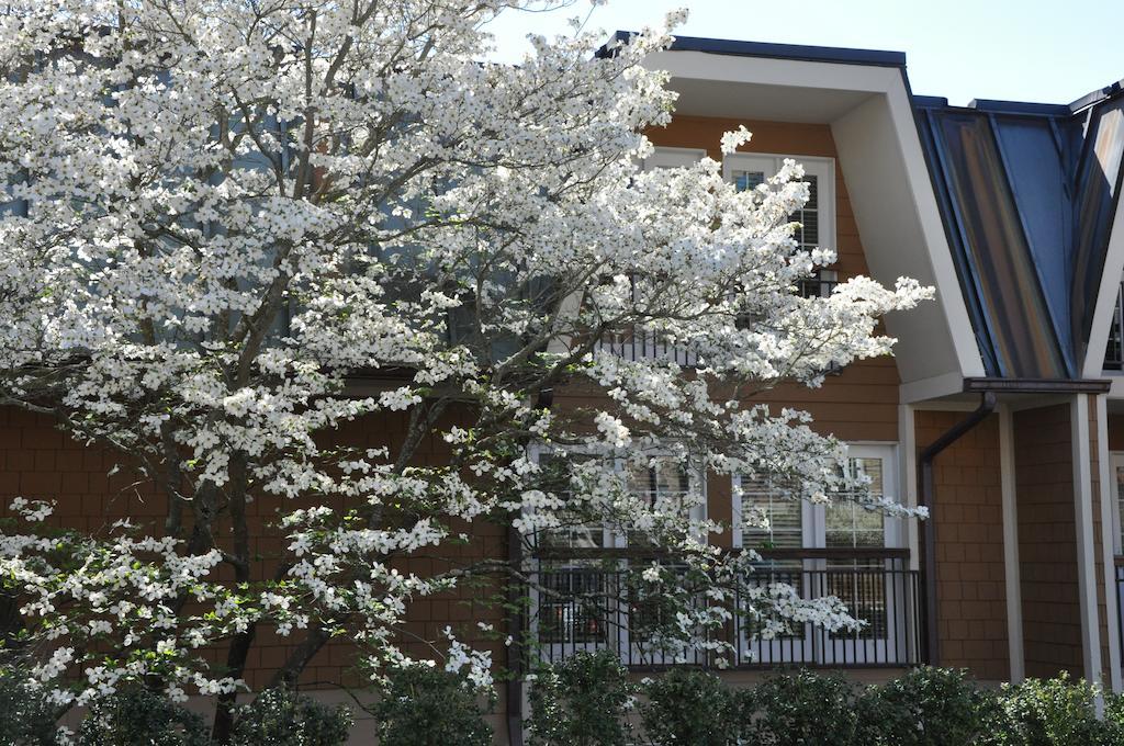 The Residences At Biltmore - Asheville Exterior photo